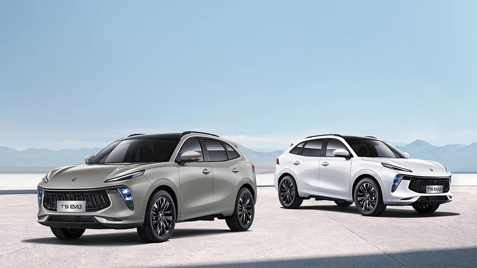 Dongfeng Liuzhou Motor